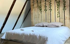 Les Chambres D'Olt